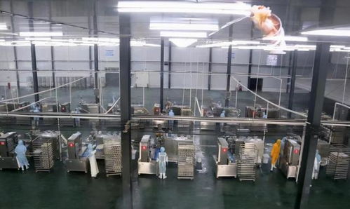 投資超2.5億 今年,長葛西南部要建一個商貿城 一個食品產(chǎn)業(yè)園
